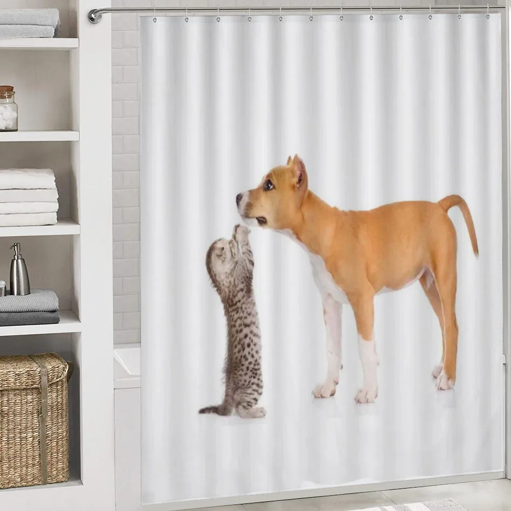 Kitten and a Stafford Puppy — Detail 4