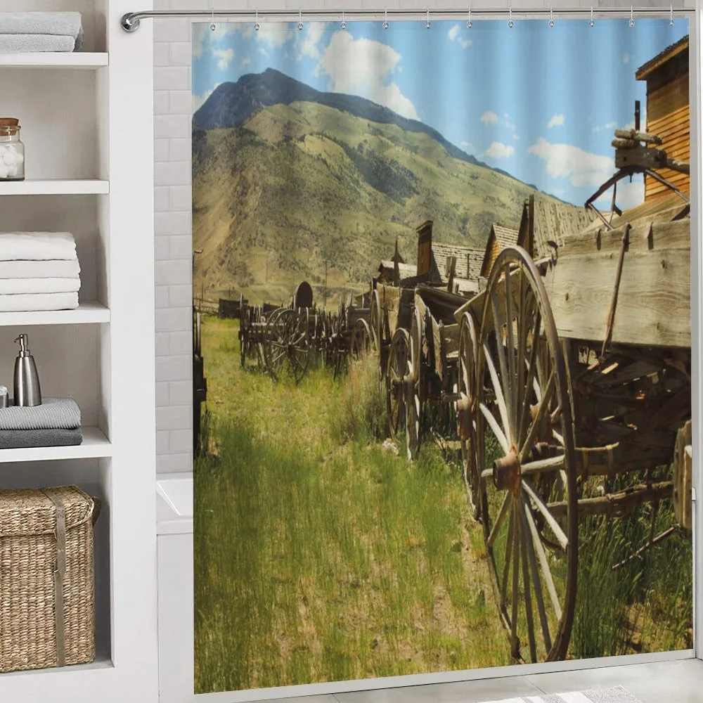 Old Carriages — Detail 4