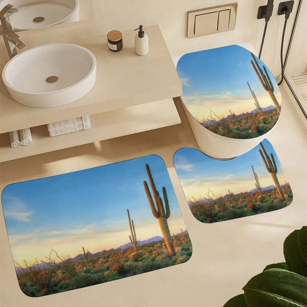 Sonoran Desert Sunset — Detail 5