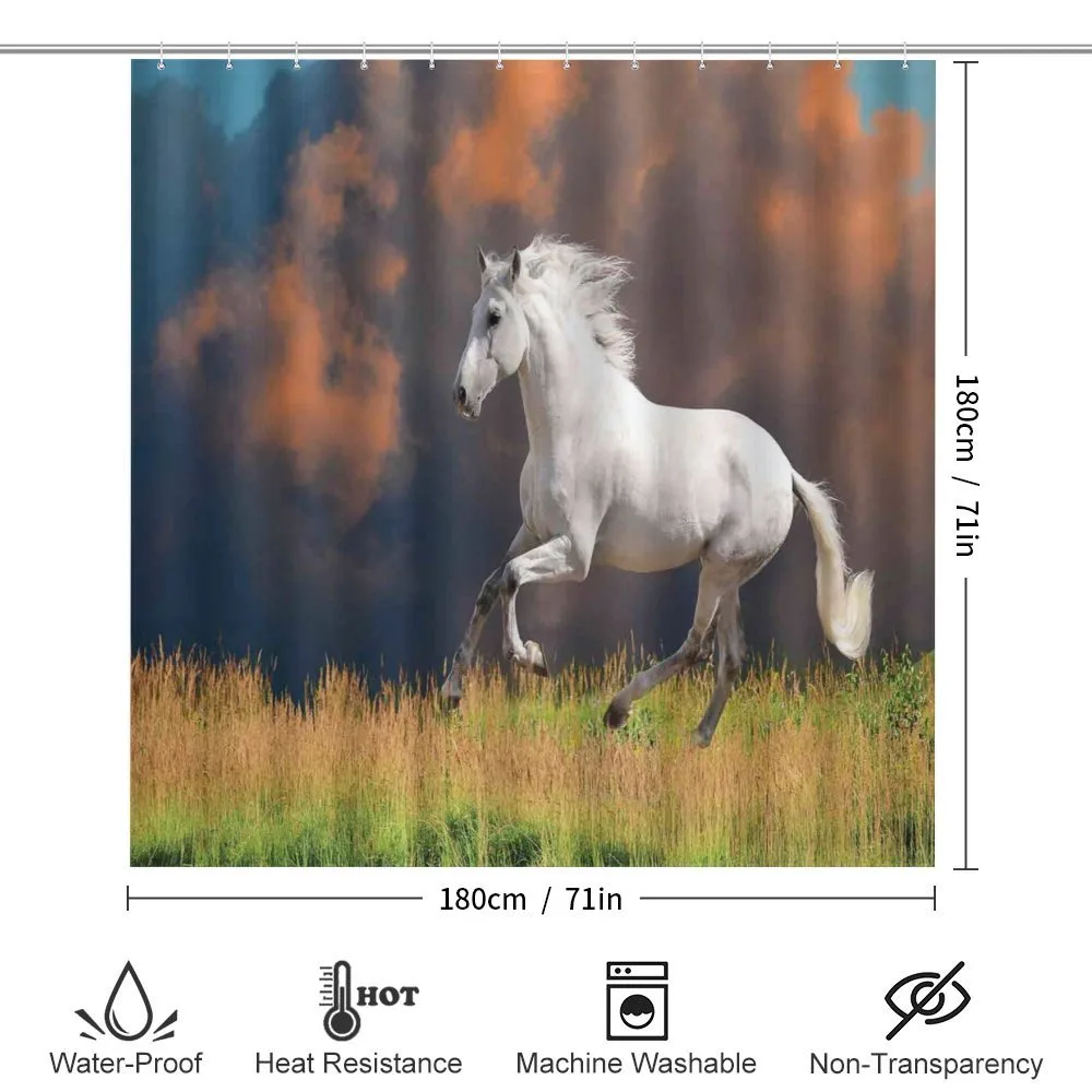 Andalusian Horse Dusk — Detail 2