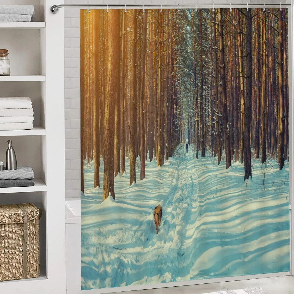 Skier Running Dog Forest — Detail 4