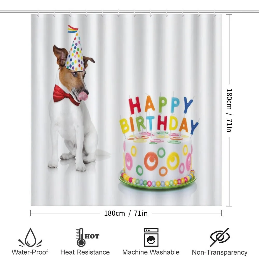 Birthday Party Dog — Detail 2