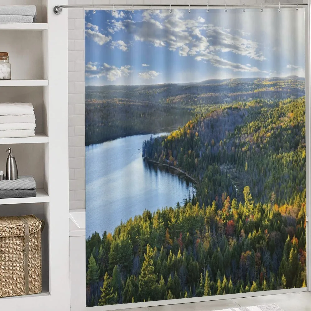 Fall Forest Panoramic — Detail 4