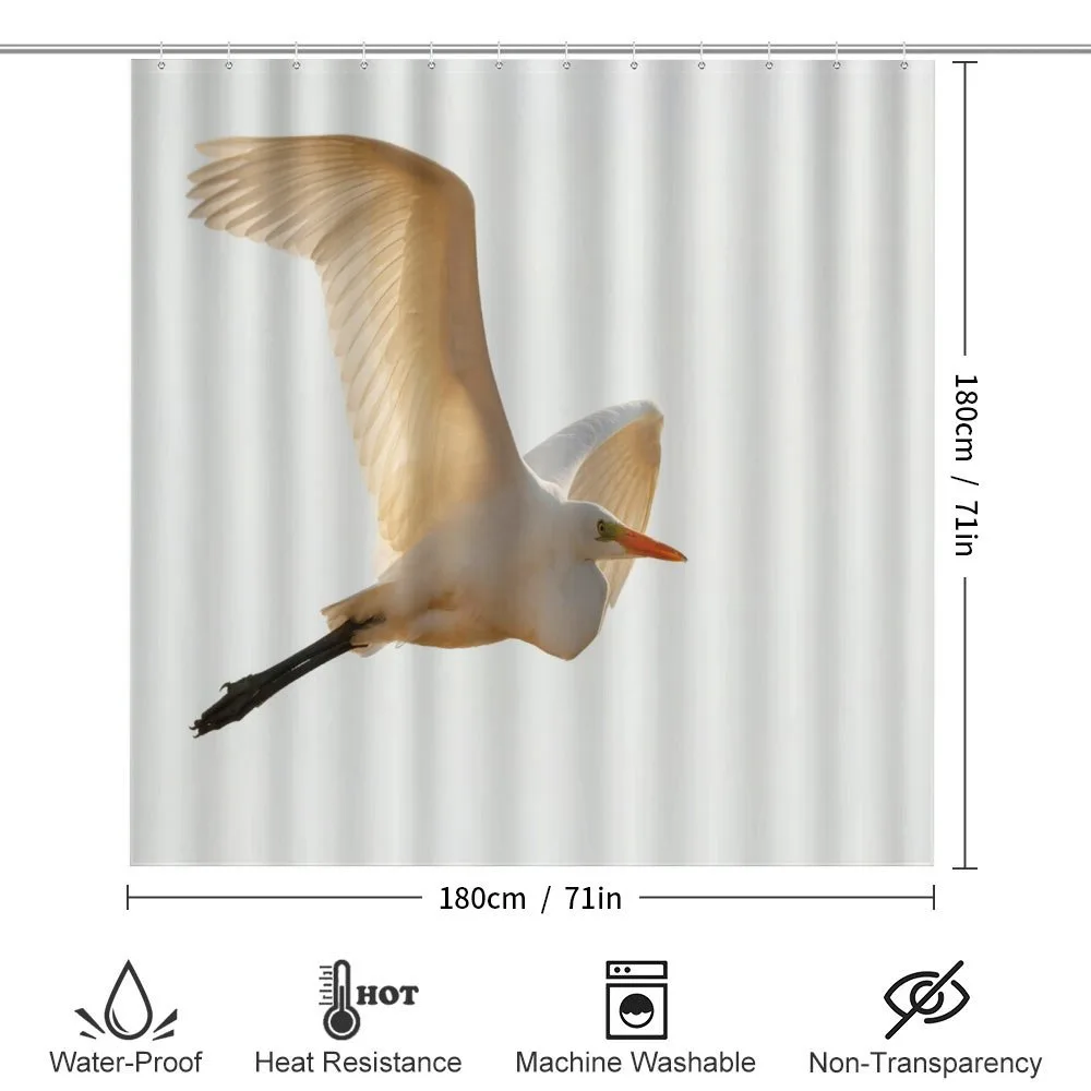 Macro Photo of Flying Heron — Detail 2