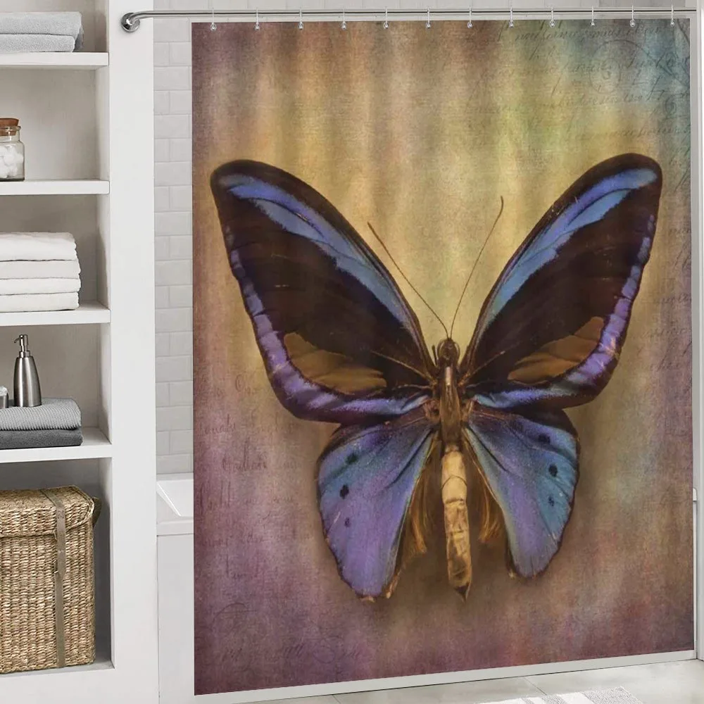 Monarch Butterfly — Detail 4