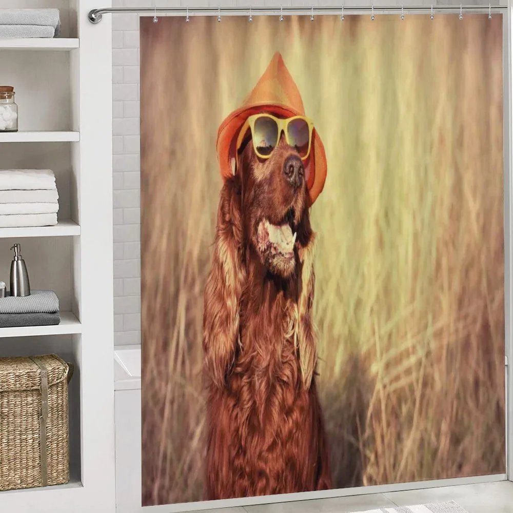 Dog Wearing Hat Glasses — Detail 4