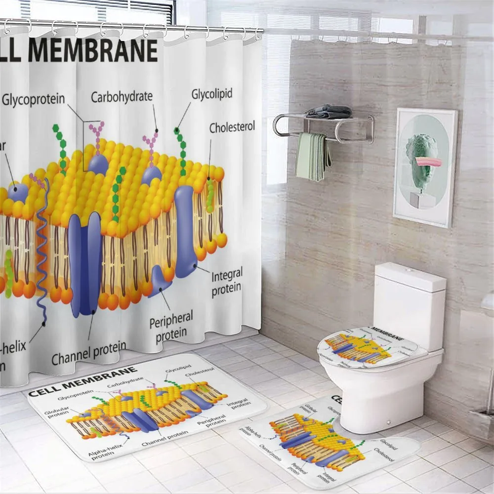 Membrane Cell Types — Your design