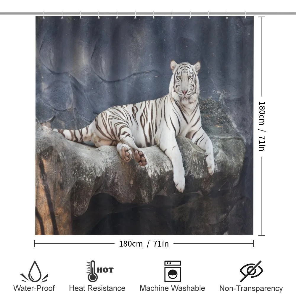 Wildlife Cat on the Rock — Detail 2