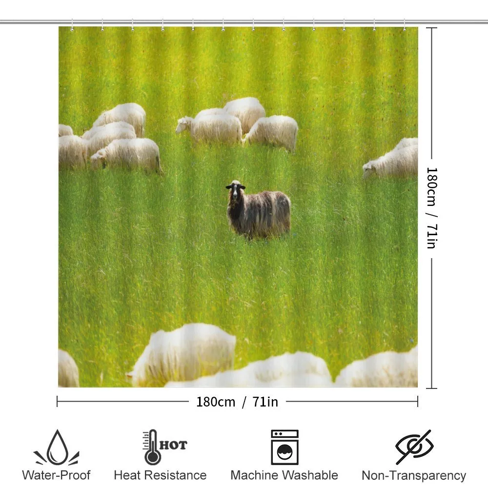 Black Sheep White Goats — Detail 2
