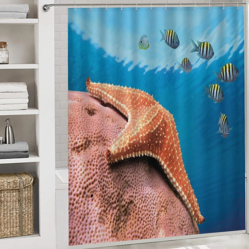 Coral Fishes Sea — Detail 4