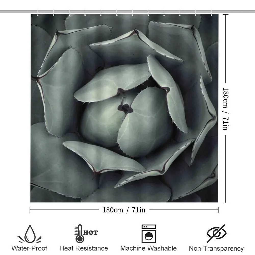 Flourishing Grey Cactus — Detail 2