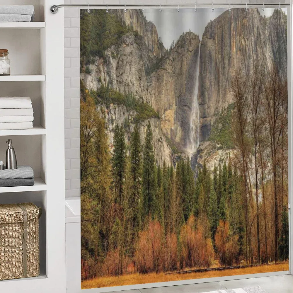 Yosemite Falls Trees — Detail 4