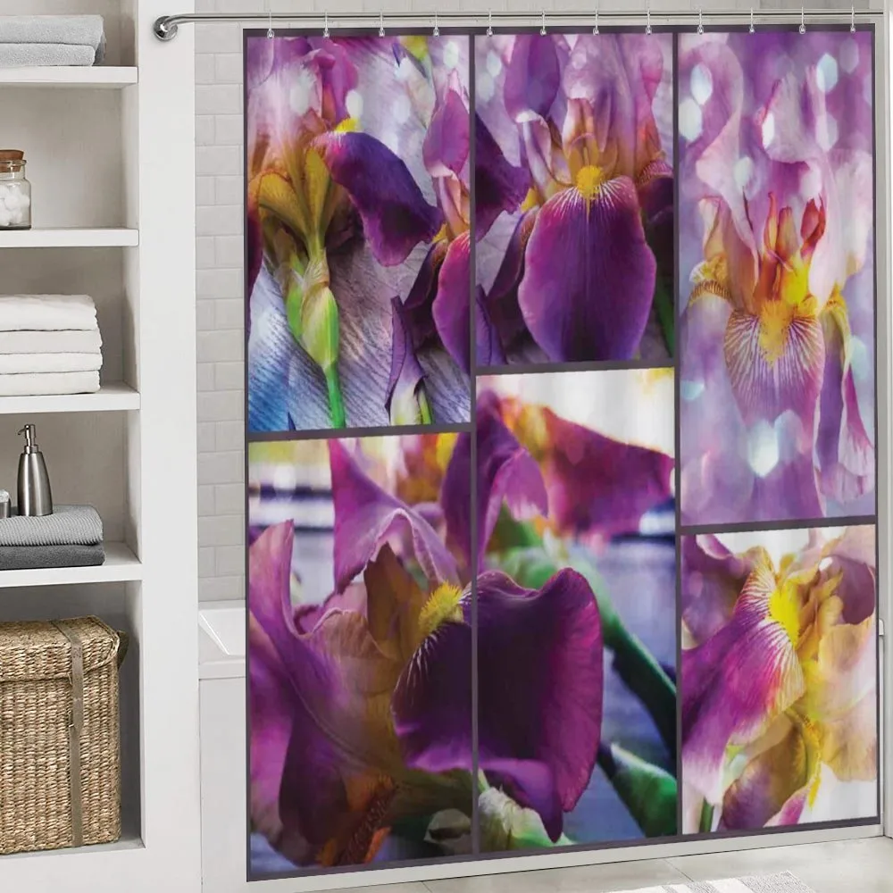 Blooming Iris Flowers — Detail 4