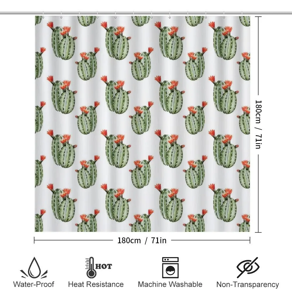 Cactus Plant Desert — Detail 2