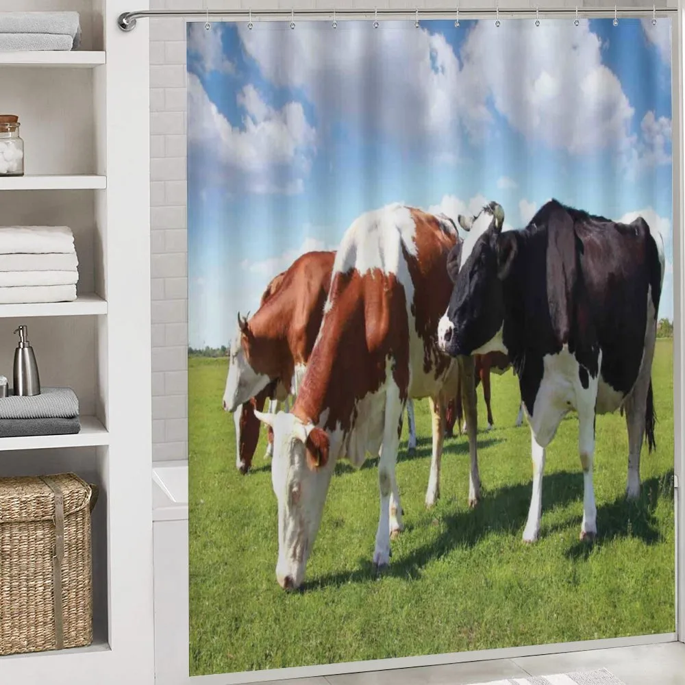 Cows Grazing on Pasture — Detail 4