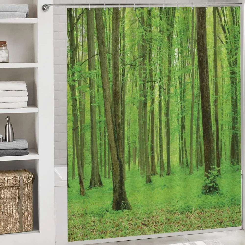 Forest in a Sunny Day — Detail 4