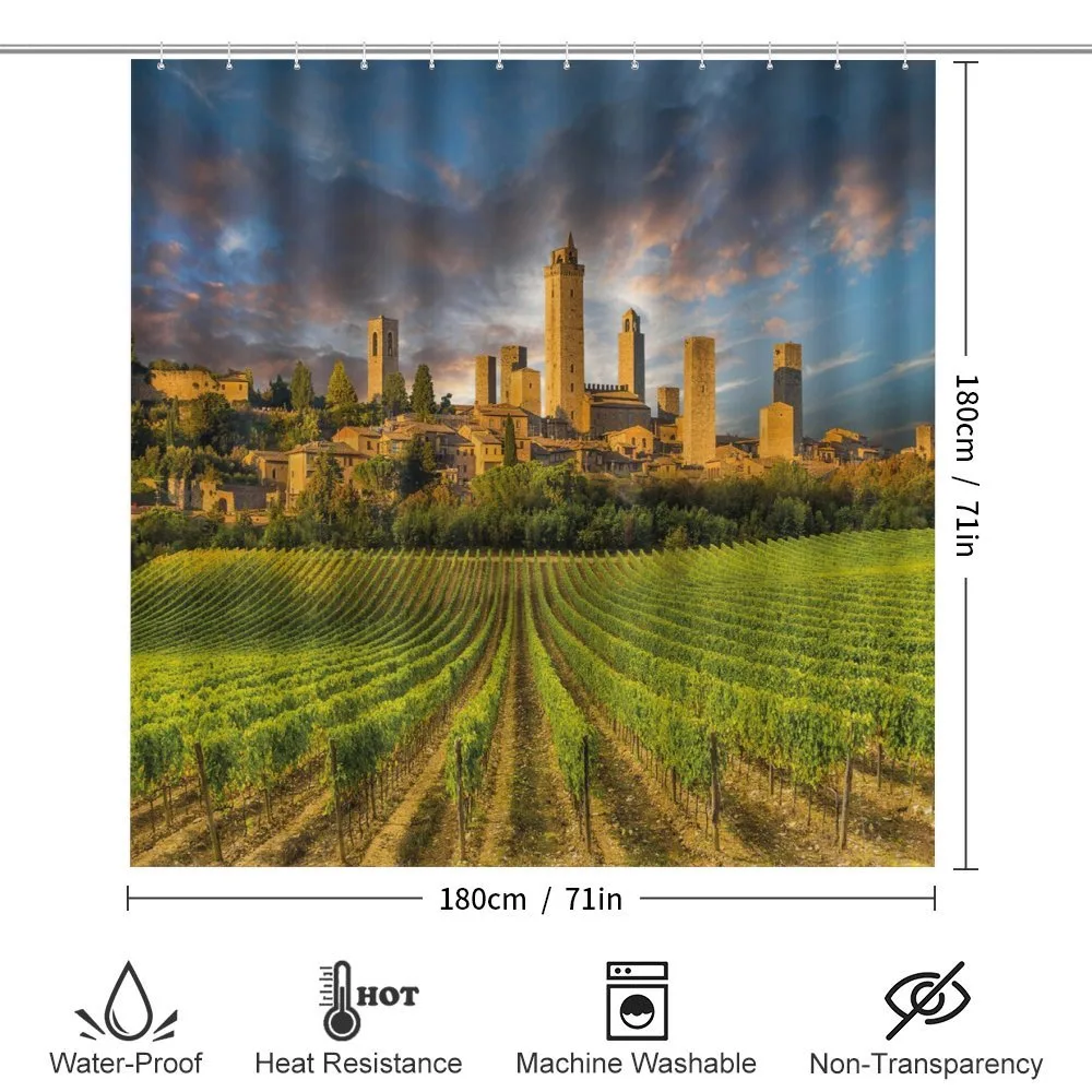 San Gimignano Vineyards — Detail 2