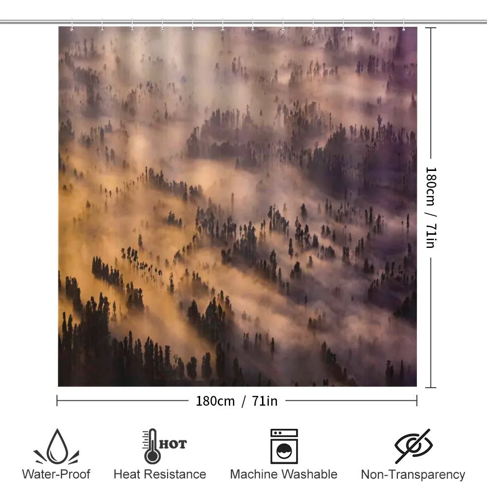 Forest Summer Morning — Detail 2