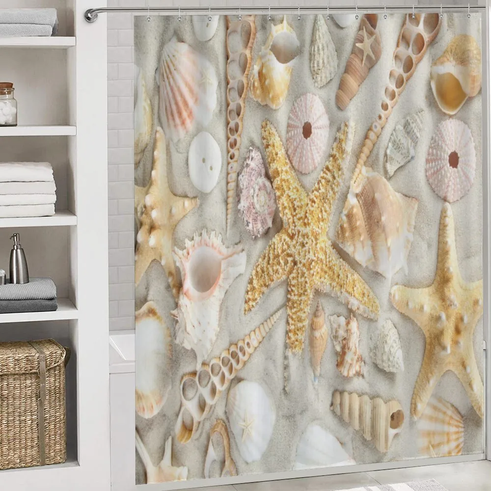 Assorted Seashells Sand Beach — Detail 4