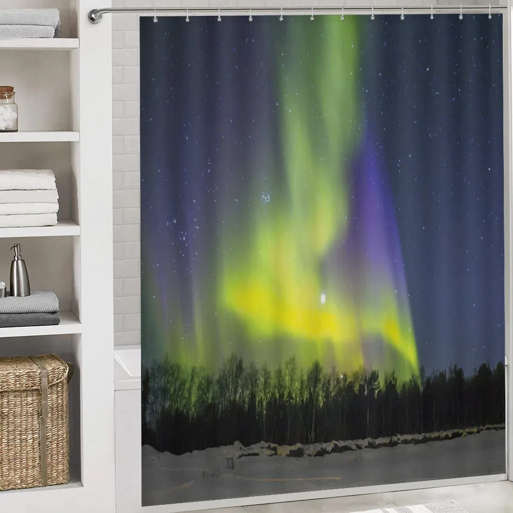Aurora Borealis Forest — Detail 4