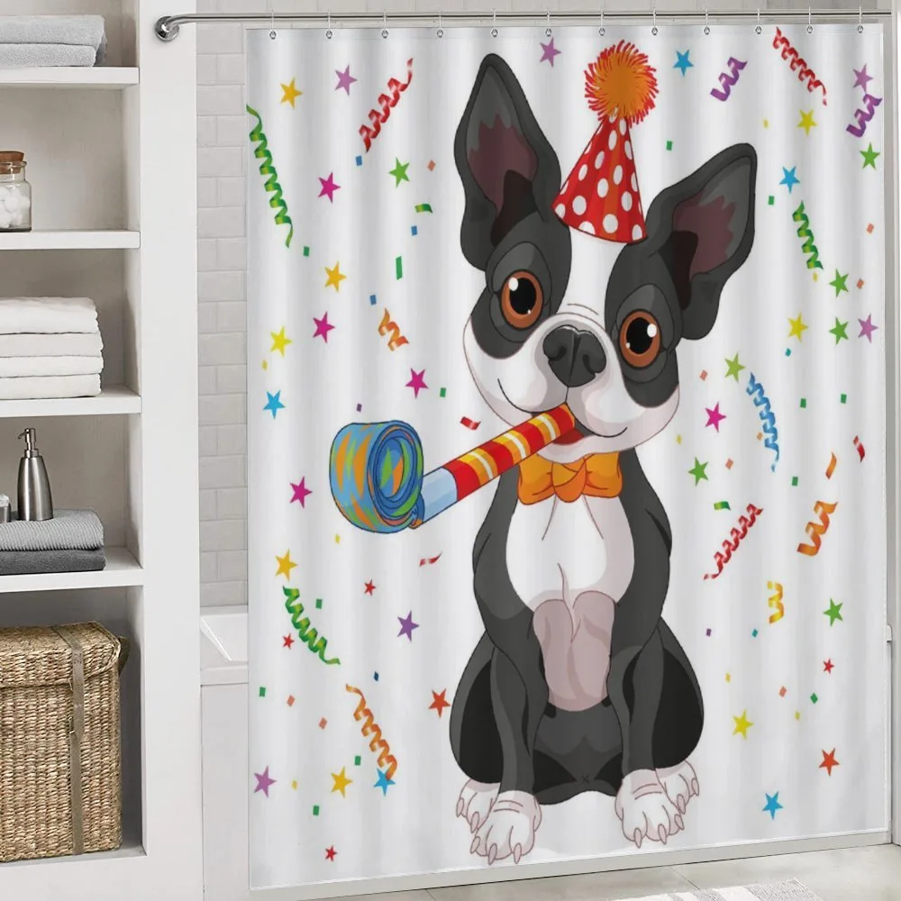 Boston Terrier Dog — Detail 4