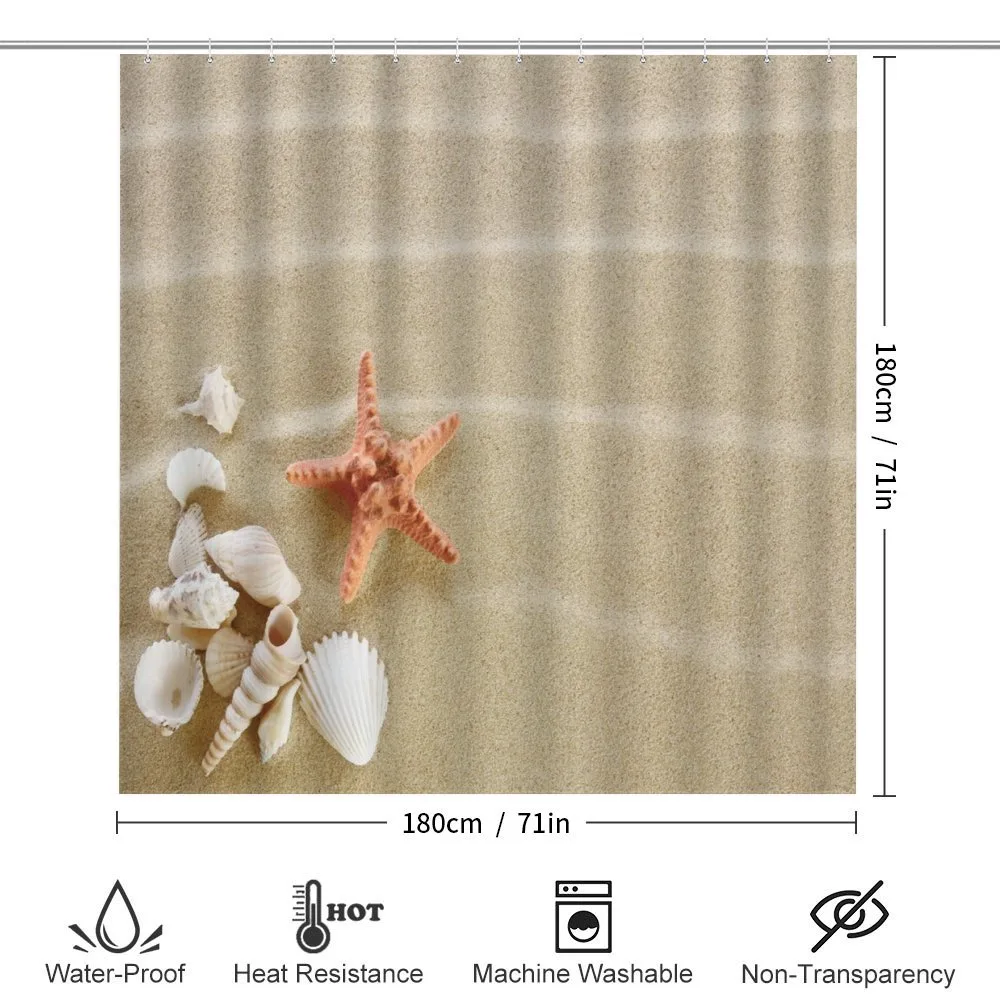 Exotic Seashells with Sand — Detail 2