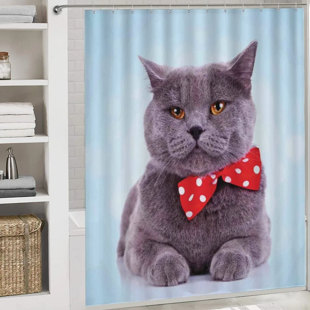 Grey Scottish Fold Theme — Detail 4