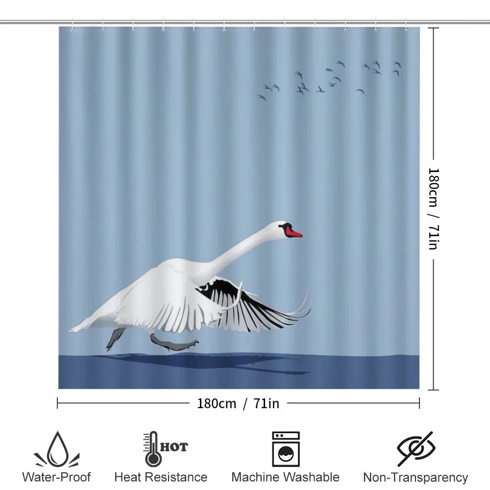 Swan Wildlife Animal — Detail 2