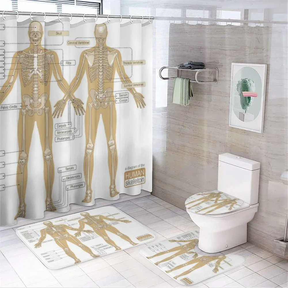 Human Skeleton System — Your design