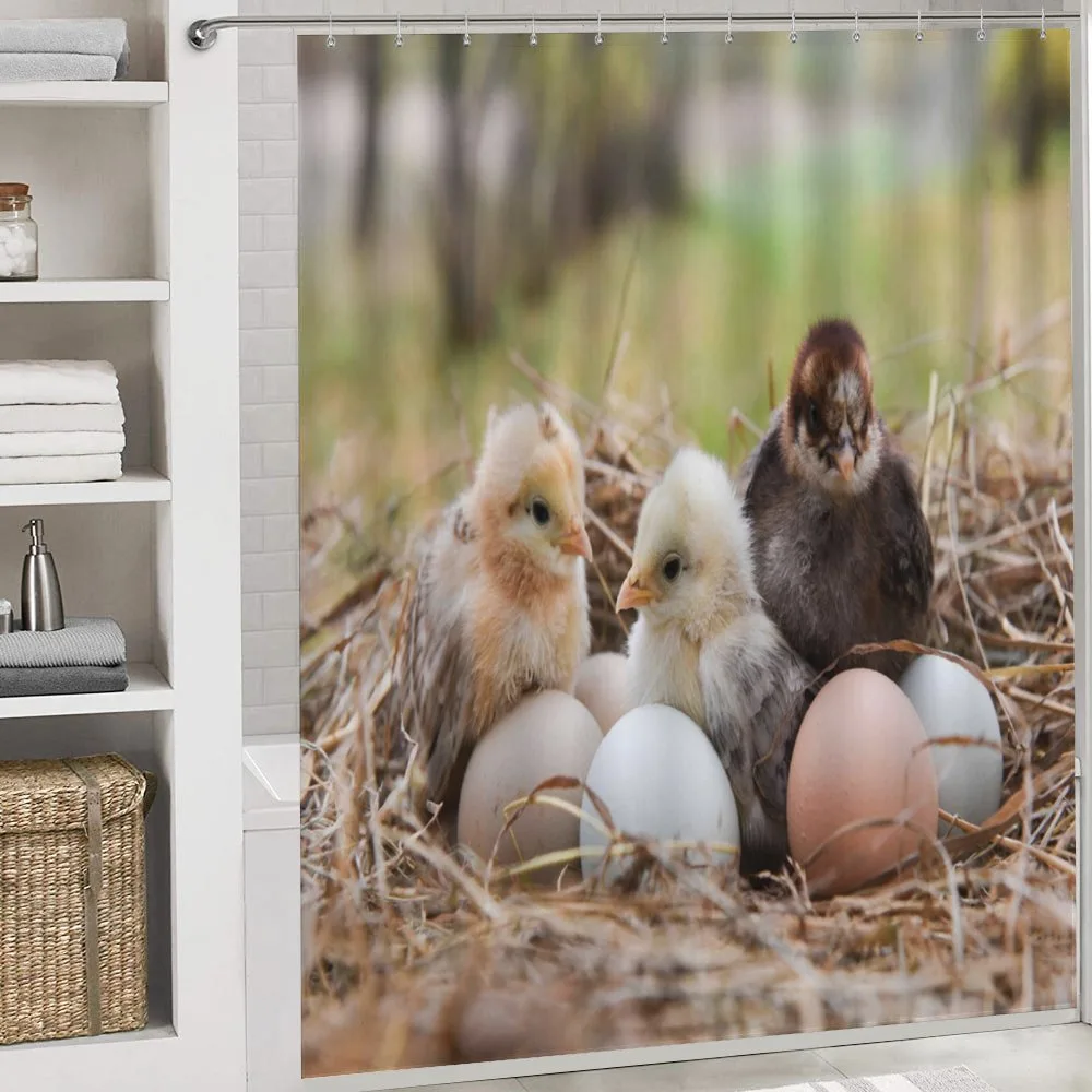 Little Chickens in Hay Eggs — Detail 4