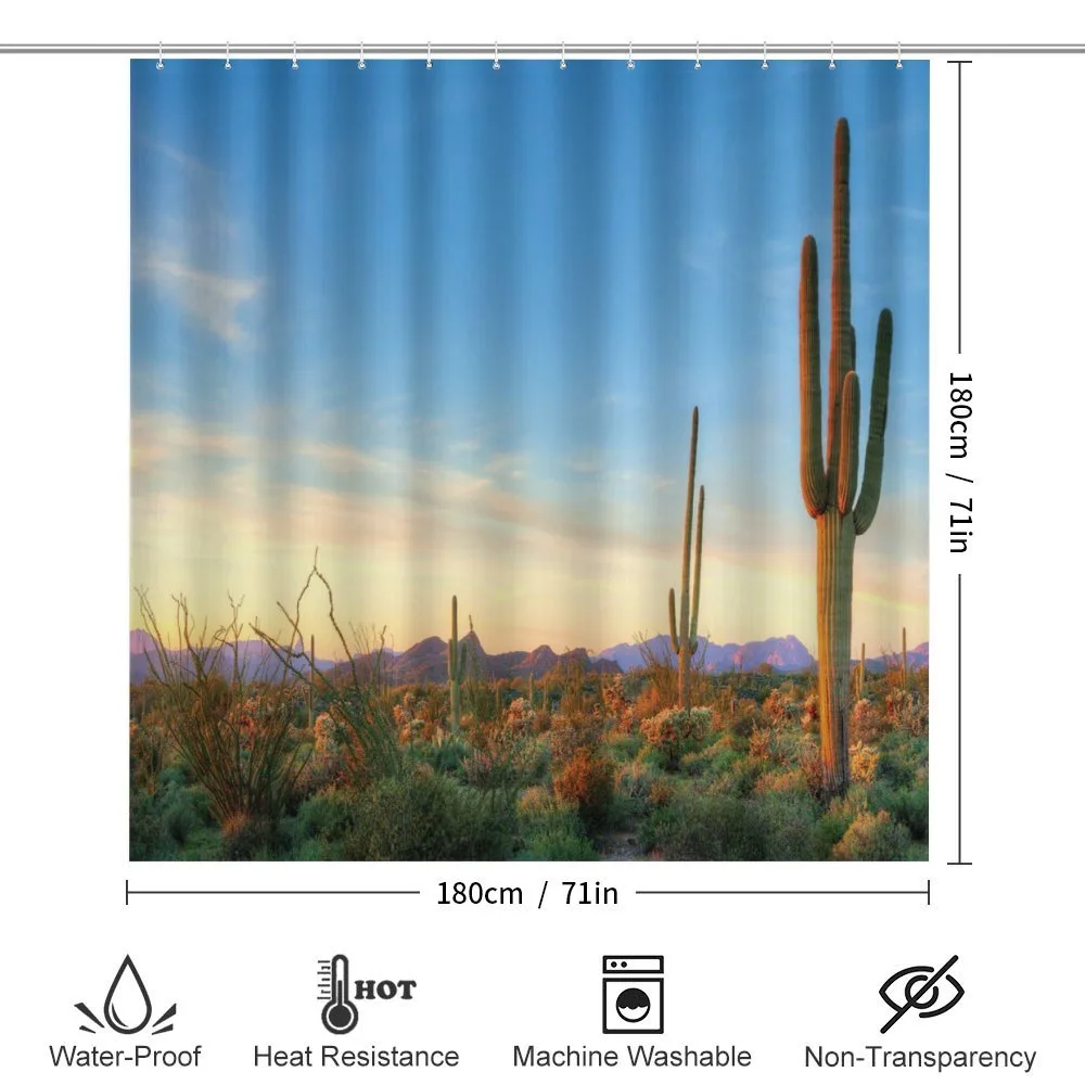 Sonoran Desert Sunset — Detail 2