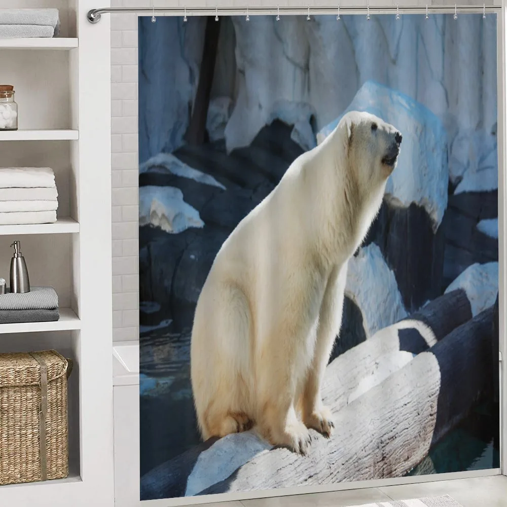 Polar Bear in Park Rocks — Detail 4