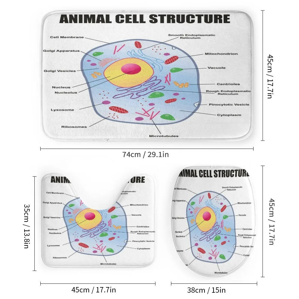 Animal Cell Study — Detail 1