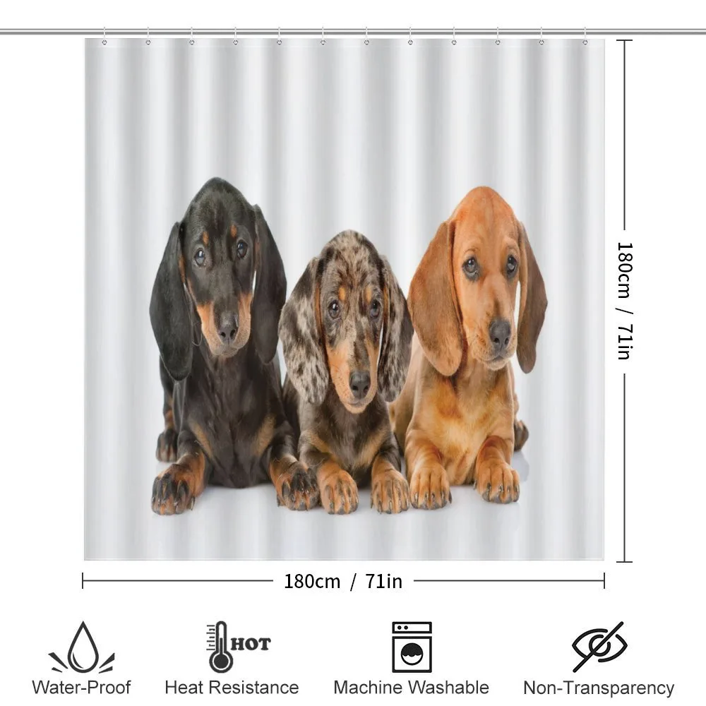 Different Color Dogs Lays — Detail 2