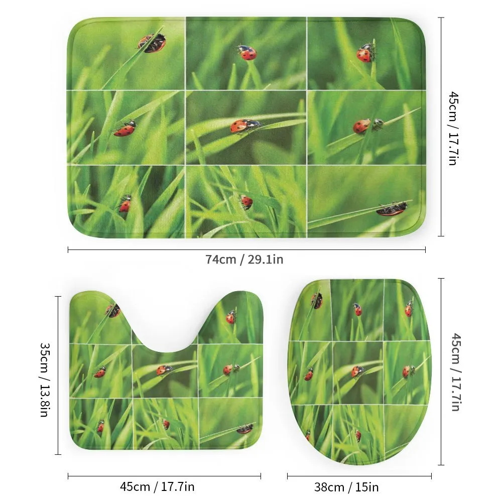 Ladybug over Fresh Grass — Detail 1