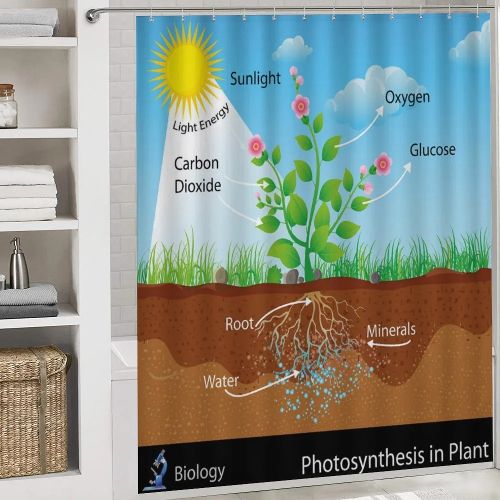 Plant Diagram Style — Detail 4