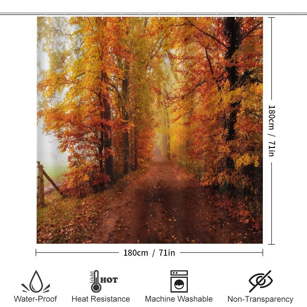 Footpath in Foggy Woods — Detail 2