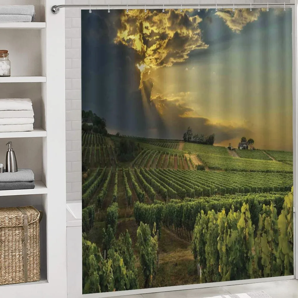 France Sunset Vineyard — Detail 4