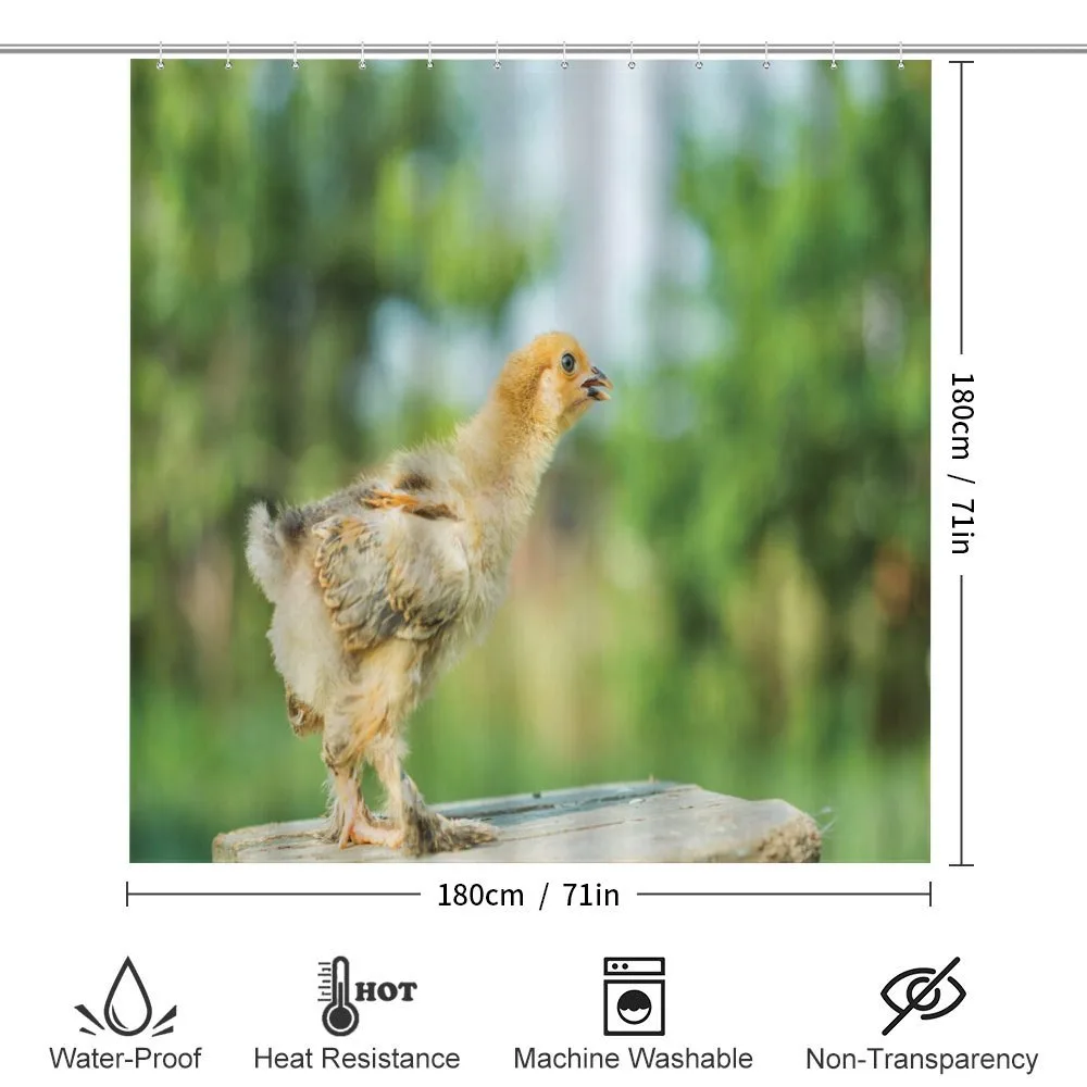 Little Baby Chicken on Log — Detail 2