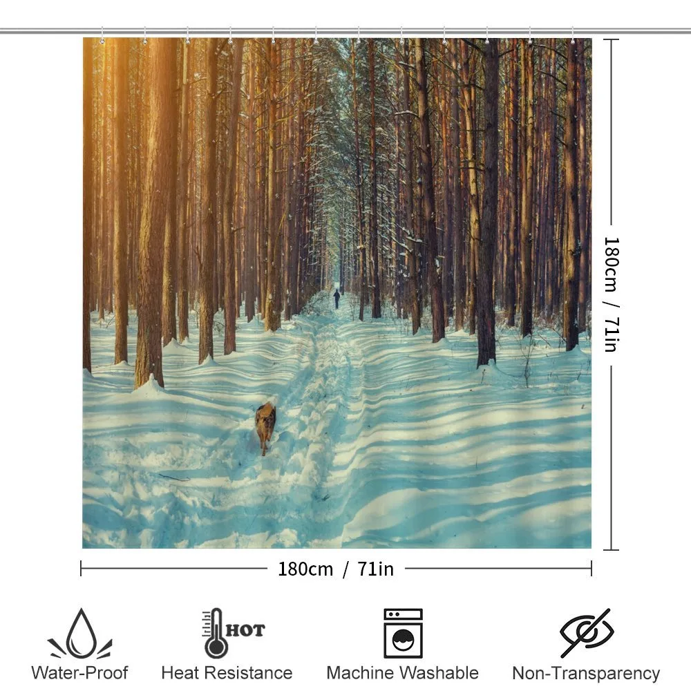 Skier Running Dog Forest — Detail 2