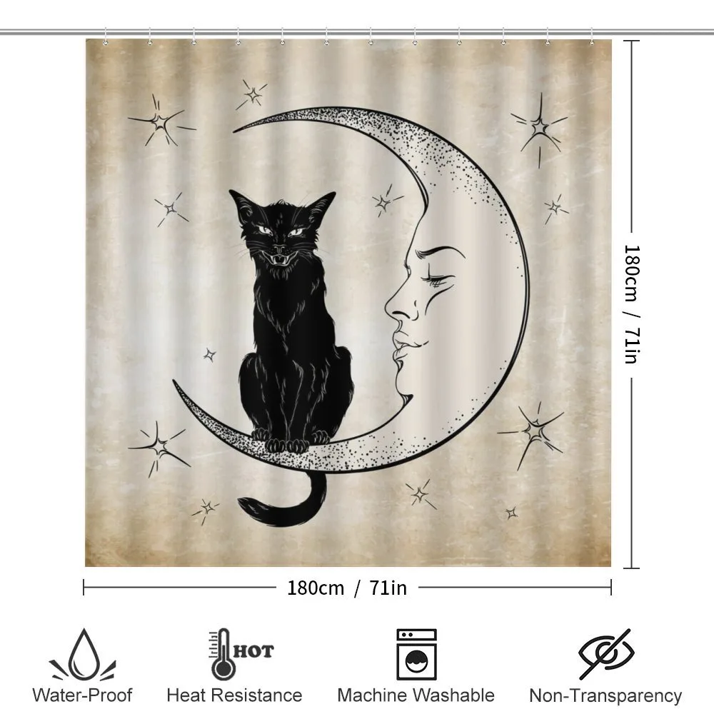 Black Cat Siting on Moon — Detail 2