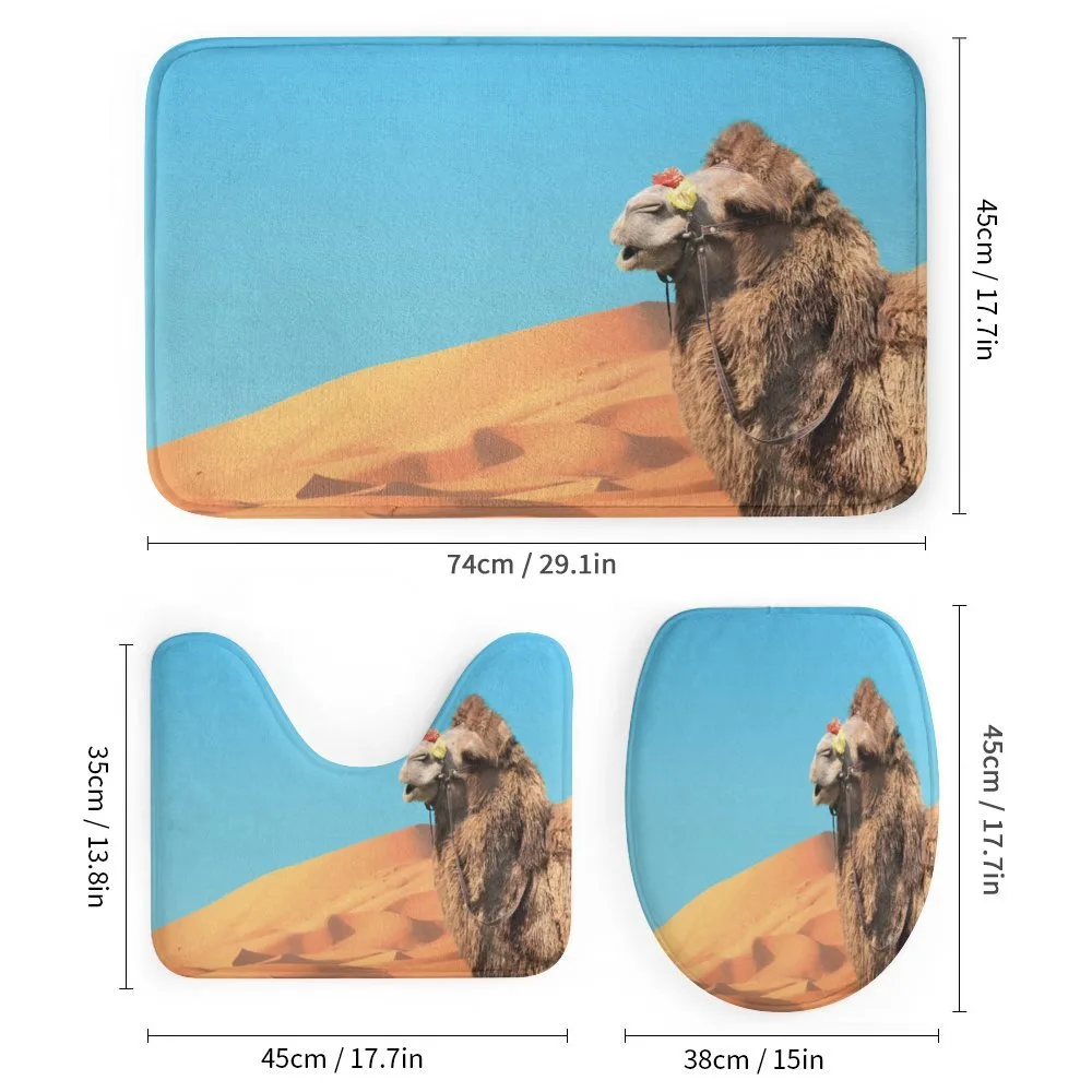 Camel Sand Dunes and Sky — Detail 1