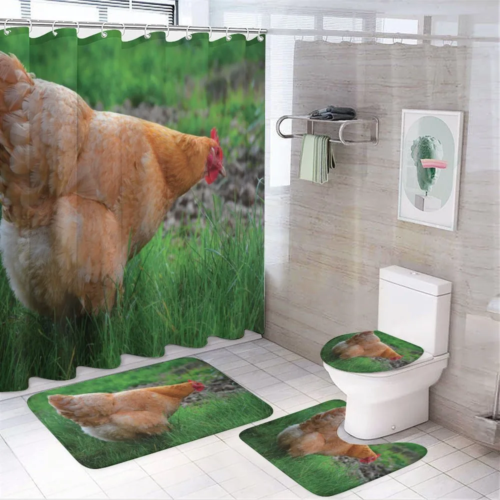 Chicken on Grass Farm Photo — Your design