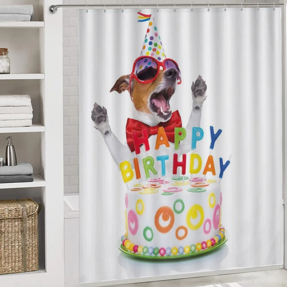 Surprise Party Dog — Detail 4