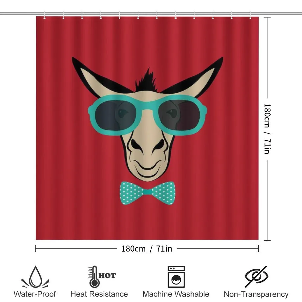 Donkey Wearing Sunglasses — Detail 2
