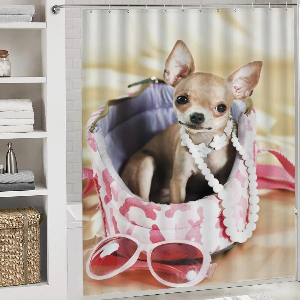 Funny Sassy Fashion Dog — Detail 4