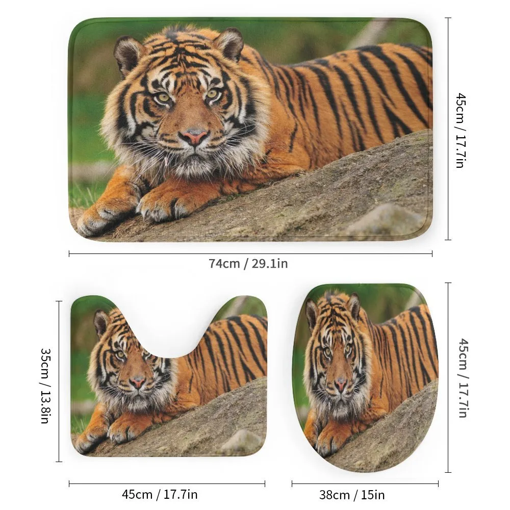 Tiger Crouching on Rock — Detail 1