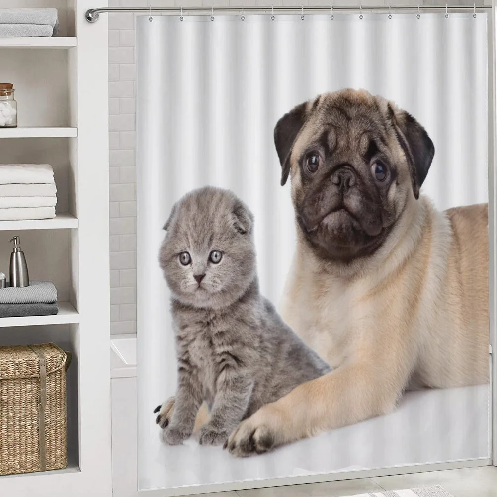 Young Puppy and Kitten — Detail 4