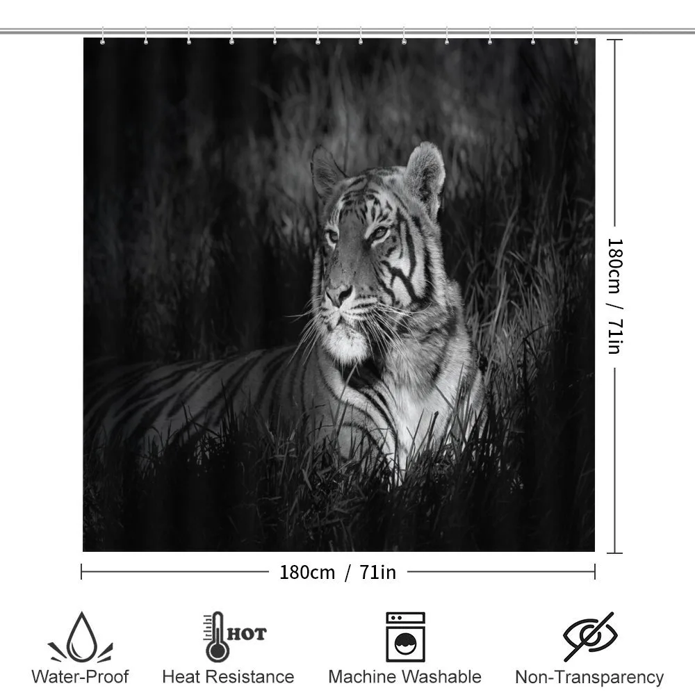 Bengal Tiger — Detail 2