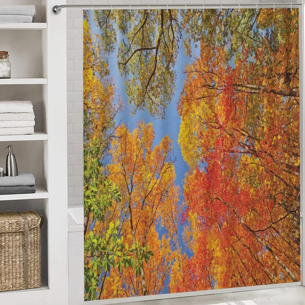 Forest in Autumn — Detail 4